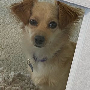 Meet your Posher, Kristene